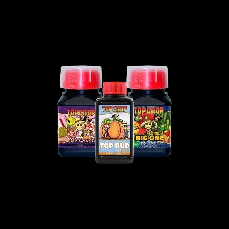 BUD PACK 600ML